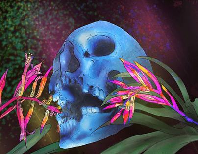 Skull with Bromeliads