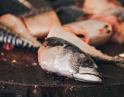 What's Behind the Fish Industry