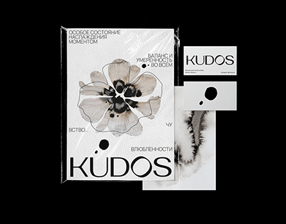 KUDOS — Fashion Clothing Brand
