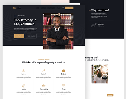 Lawsd lawyer website