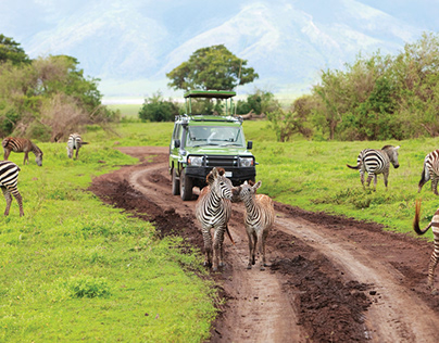 Kenya Safari Tour Packages From Nairobi to Mombasa