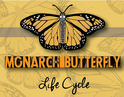 Monarch Butterfly Life Cycle Infographic