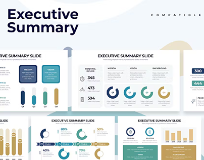 Business Executive Summary Illustrator Infographic