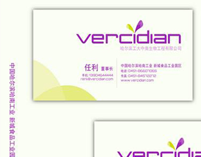 VERCIDIAN. Naming, branding, logo case study
