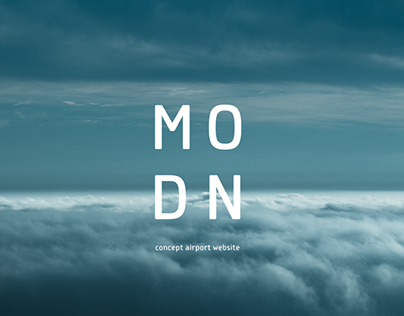 Airport Website Concept