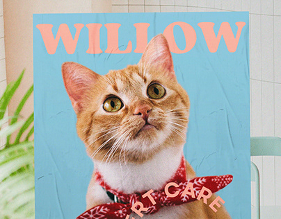 Willow - Veterinary Identity Design