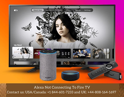 fix the Alexa Not Connecting To Fire TV