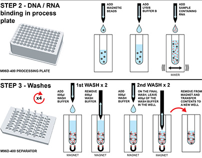 Various stages of the PCR testing process for Covid-19