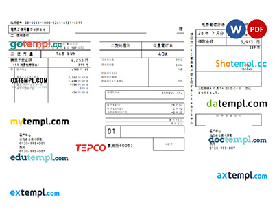 Japan Electric Power Company utility bill template