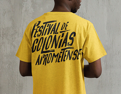 Project thumbnail - Festival de Colonias Afrometense