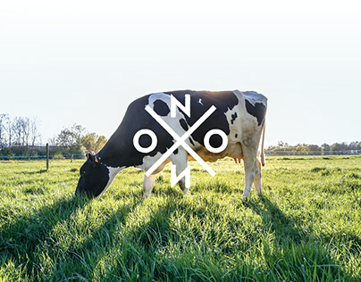 Noxon Farm Logo & Brand Identity