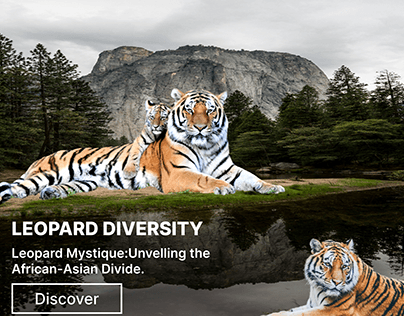 Leopard Diversity Hero Section