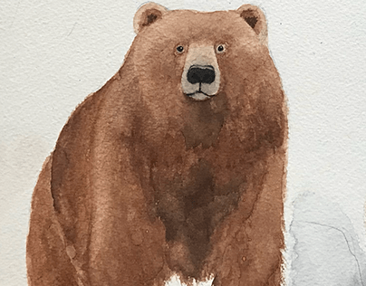 Watercolour Bear Illustrations