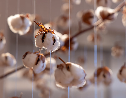 EXHIBITION | White gold:Stories of cotton