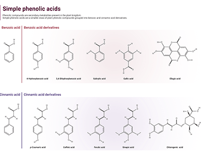 Phenolic Compounds