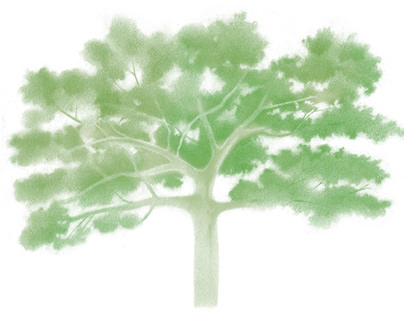 Series of trees