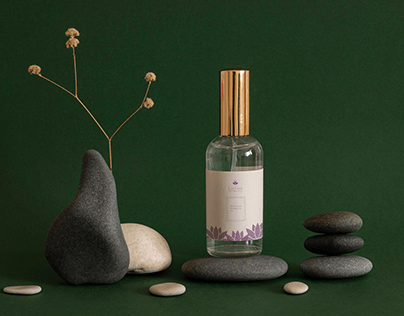 Lotus Therapeutics | Brand Idenity