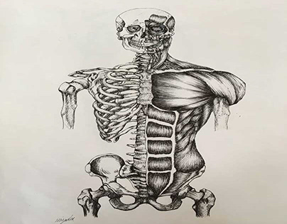 Anatomy , Graphic Technique