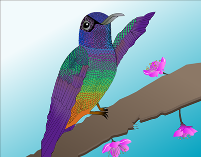 colibrí Gif