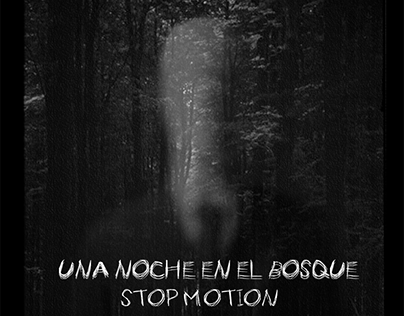 Una noche en el bosque||Slenderman Stop motion
