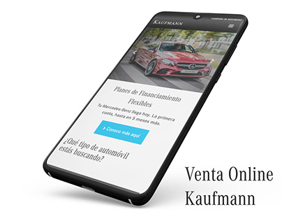Kaufmann - Venta Online