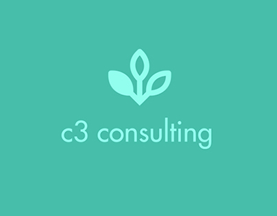 C3 Consulting Branding Concepts