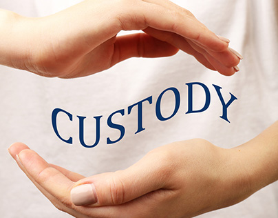 730 Custody Evaluation in California