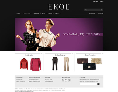 Ekol - Web Design