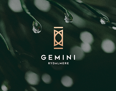 Gemini Apartments Project Branding