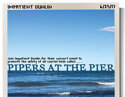 Impatient Dunlin Band Poster Project