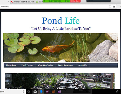 Pond Life Blackfoot Website Redesign