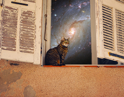 uzaylı kedi!