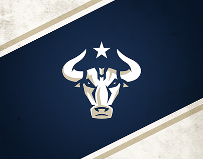 Houston Bulls: NHL Expansion Team