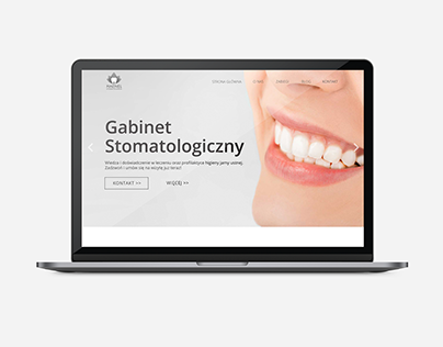 Haenel's Stomatology comerical web design