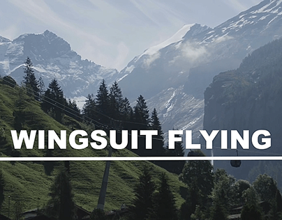 Wingsuit Flying - Academic Project