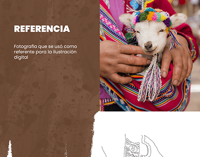 Ilustración Vicuña Peruana