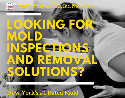 Certified Mold Removal and Inspection Service
