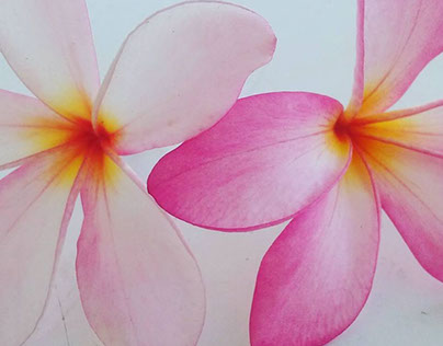 drawing with colour pencils #love #this #flower