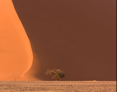 Namibian sand