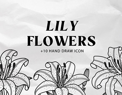 Lilies flowers hand draw illustration