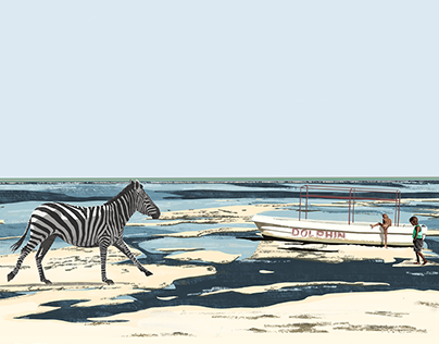 Unexpected beach walkers / Zebra