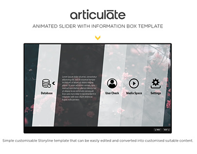 Articulate Storyline Animated Slider with Info Box