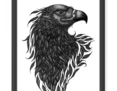 Mexican Eagle / Águila Mexicana