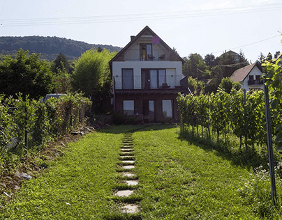 Renoviertes Haus am Balaton im Weinberg zu verkaufen