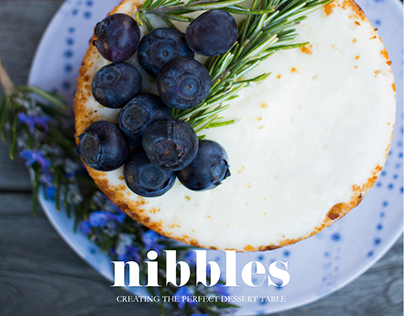 Nibbles Magazine Concept