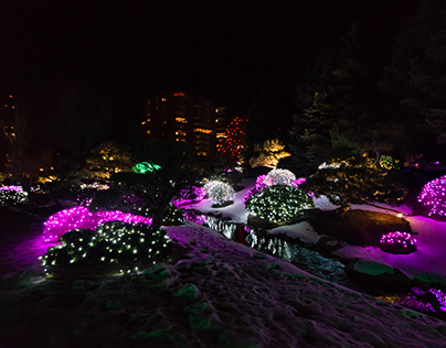 Denver Botanic Gardens Holiday Lights