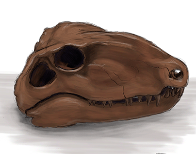 Cráneo de Dimetrodon