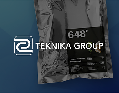 Teknika Group - Website development