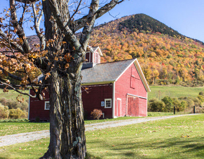 Vermont Fall