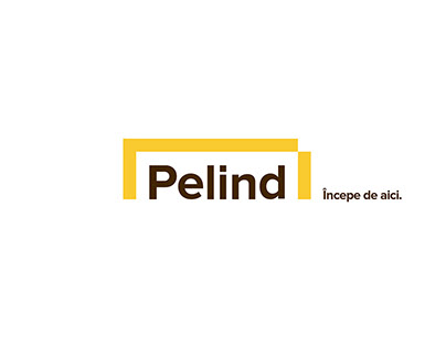 Pelind | Rebranding the DIY network
